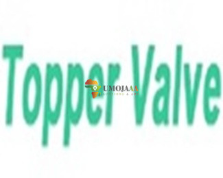 China Topper Forged Valve Manufacturer C...