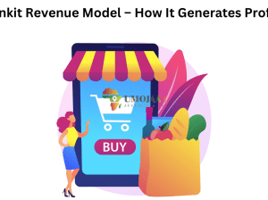 Blinkit Revenue Model – How It Generates Profits
