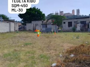 Plot for sale in Tegeta kibo, Dar es salaam