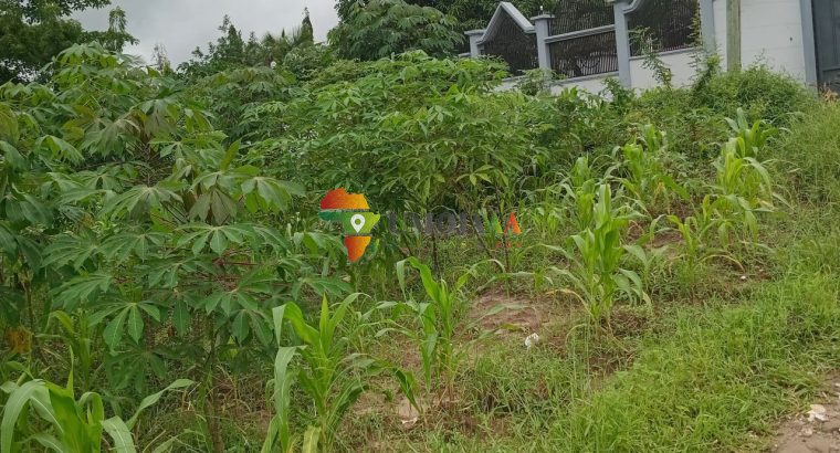 Plot for sale in Goba Kulangwa, Dar es salaam
