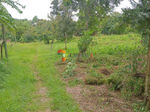 Plot for sale in Goba Kulangwa, Dar es salaam