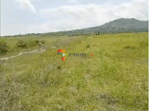 Plot/Land for sale in Gihanga, Gihungwe Burundi