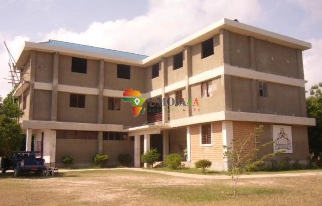A primary & secondary school for sale Mbezi Beach, Dar Es…
