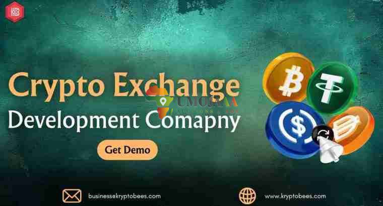 Top Rated Crypto Exchange Development | Kryptobees