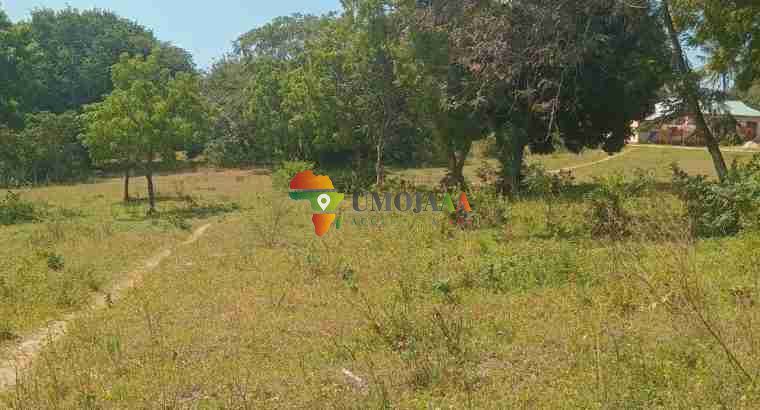 A very nice big plot for sale in Goba Kulangwa