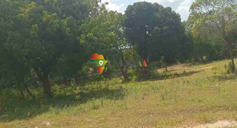 A very nice big plot for sale in Goba Kulangwa