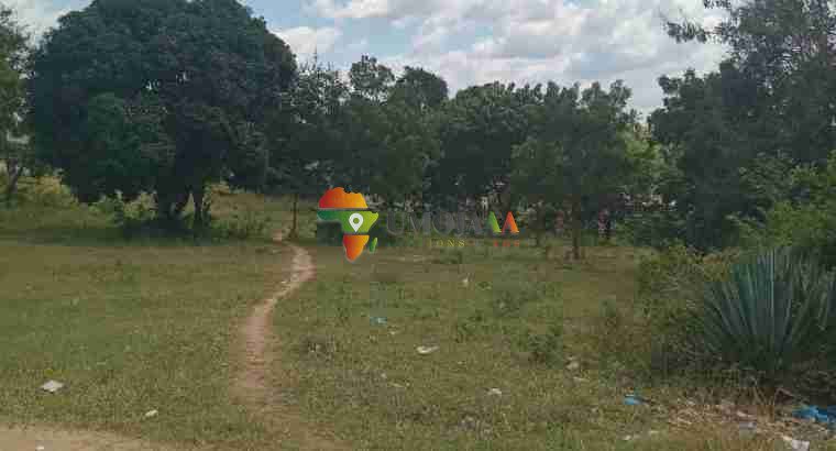 A very nice big plot for sale in Goba Kulangwa