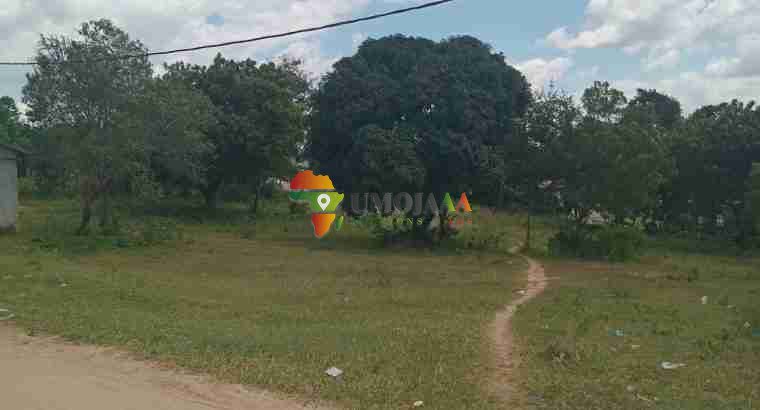 A very nice big plot for sale in Goba Kulangwa