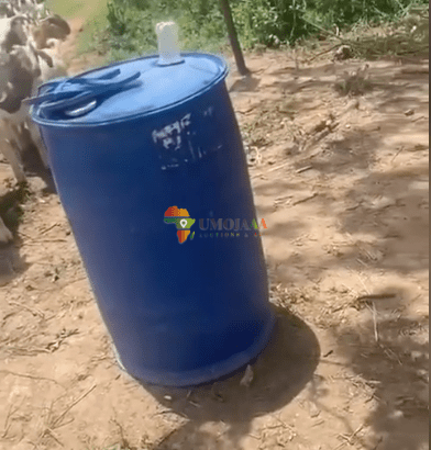 Land for a livestock business for sale in Mkuranga, Dar