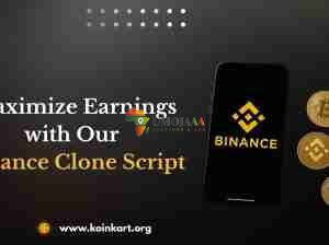 Maximize Earnings with Our Binance Clone Script