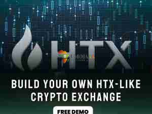 Get Your HTX Clone Script at Low Cost