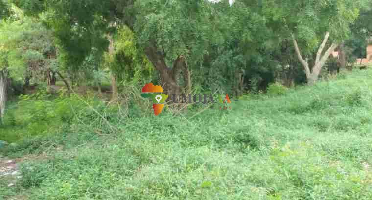 Big Plot for Rent – Makongo, Dar es salaam