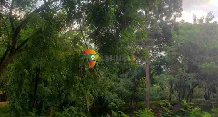 Big Plot for Rent – Makongo, Dar es salaam