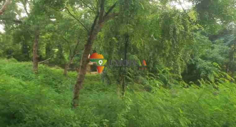 Big Plot for Rent – Makongo, Dar es salaam