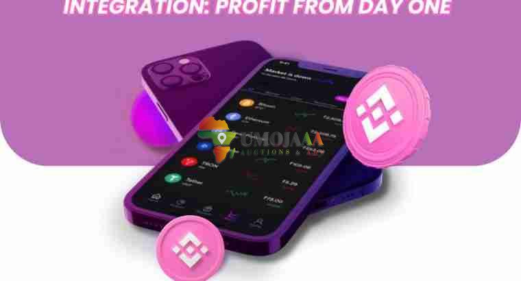 Binance Clone + Automated Trading Bots I...