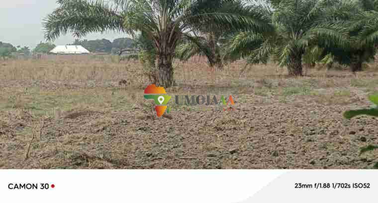 A farm for sale in Rubira, Bujumbura