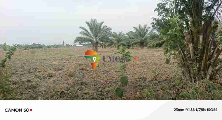 A farm for sale in Rubira, Bujumbura
