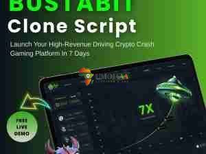 Turn Crash Gaming Into a Revenue Engine with Bustabit Clone