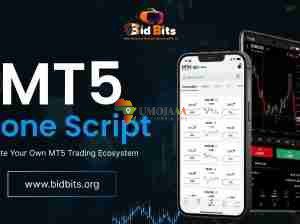 MT5 Clone Script Provider In USA