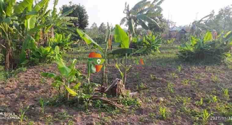 Ardhi ya Maendeleo ya Hekta 3.21 Inauzwa – Rutana, Burundi