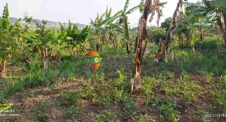 Ardhi ya Maendeleo ya Hekta 3.21 Inauzwa – Rutana, Burundi
