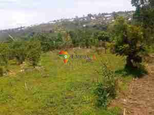 Ardhi ya Maendeleo ya Hekta 3.21 Inauzwa – Rutana, Burundi