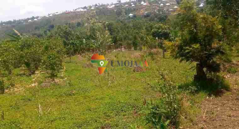 3.21 Hectares Development Land for Sale – Rutana, Burundi
