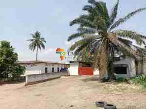 Commercial Plot with Houses for sale in Bujumbura
