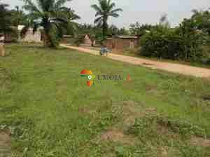 A large plot of 36 Ares for sale in Muzinda at 12, Bujumbura