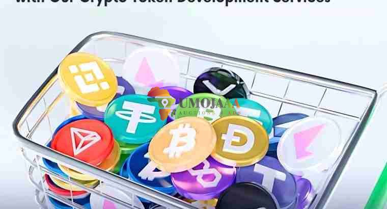 Custom Token Development Using the Latest ERC & BEP Standard