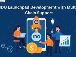 IDO Launchpad Development with Multi-Chain Support