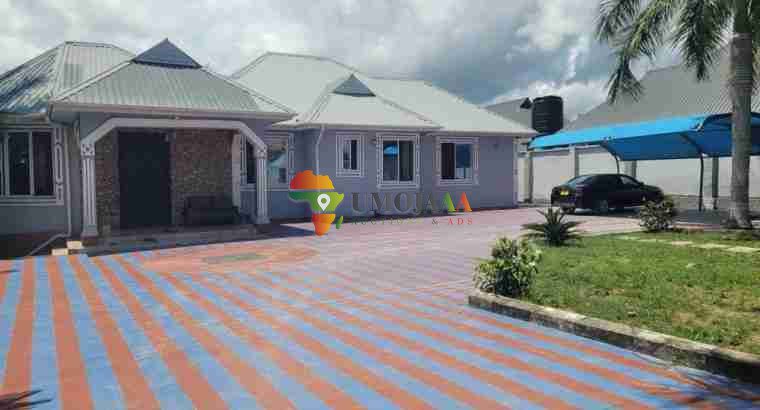 THIS HOUSE OF GOBA LASTANZA IS FOR THE S...