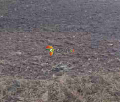 2 Ha plot for sale in Gihanga TR10, Buru...