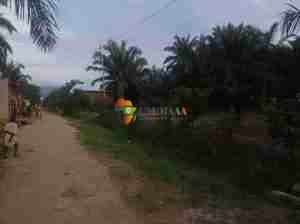 10 Ares plot for sale in Bujumbura, Muzinda