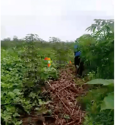 2 x Hectares Arable land or farm for sal...