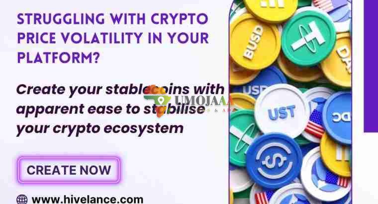 Hire Stablecoin Development Experts In USA