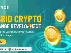 Launch Your Elite Hybrid Crypto Exchange at Low Cost