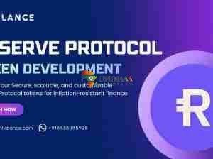 Reserve Protocol Token Development Company