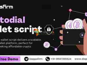 Robust Custodial Wallet Clone Script with Integrated Asset
