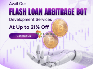 Create a Feature-Rich Flash Loan Arbitrage Bot at Low Cost