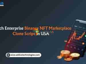 Launch Enterprise Binance NFT Marketplace Clone Script in US