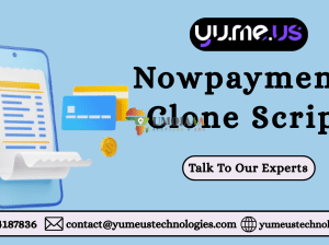 NOWPayments Clone Script for Seamless Multi-Crypto Payments