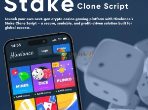 Premium Stake Clone Script With Custom UI/UX–Try a Free Demo