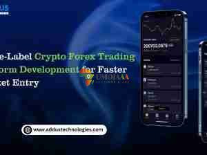 White-Label Crypto Forex Trading Platform Development