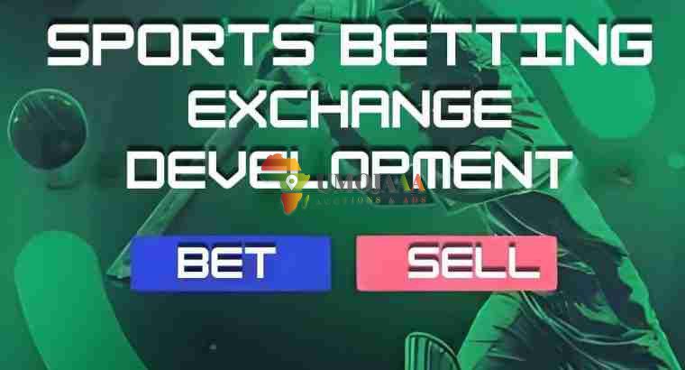 Hivelance Decentralized Sports Betting Exchange Development