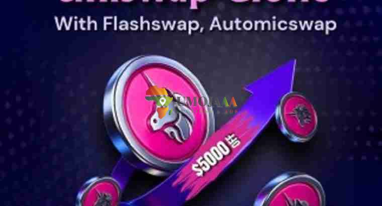 Best Uniswap Clone Script Services Provider in USA