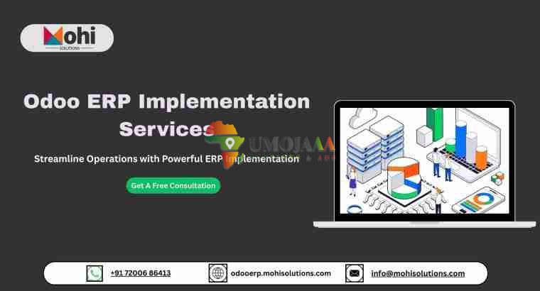 Odoo ERP development services
