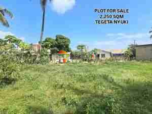 Kiwanja Kikubwa cha SQM 2250 kinauzwa Tegeta Nyuki, Dar es salaam