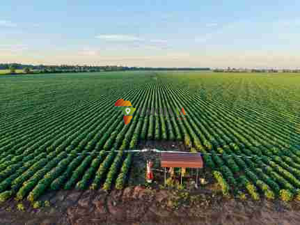 Arable land & Crops