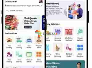 Gojek Clone AI-powered – Multi Service App Development